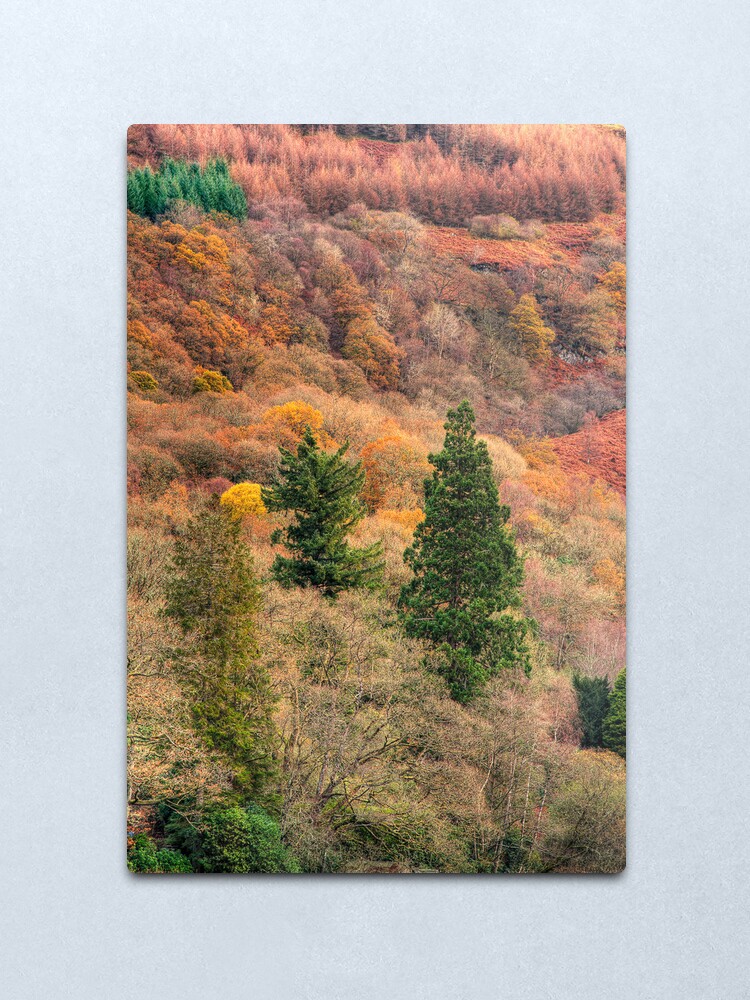 Alternate view of Ard Autumn (1) Metal Print