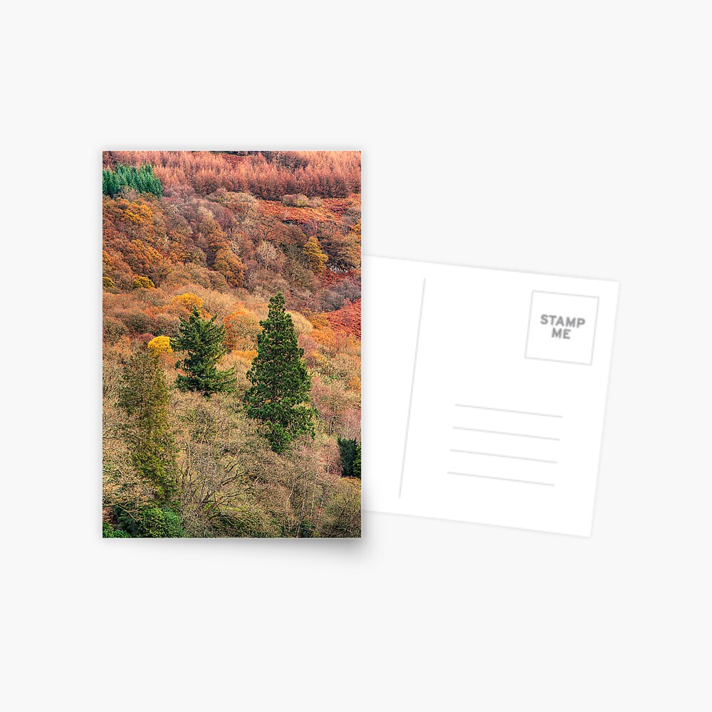 Ard Autumn (1) Postcard