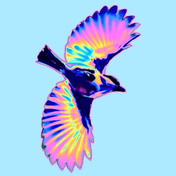 Artwork thumbnail, Holo Bird in Flight by dinaaaaaah