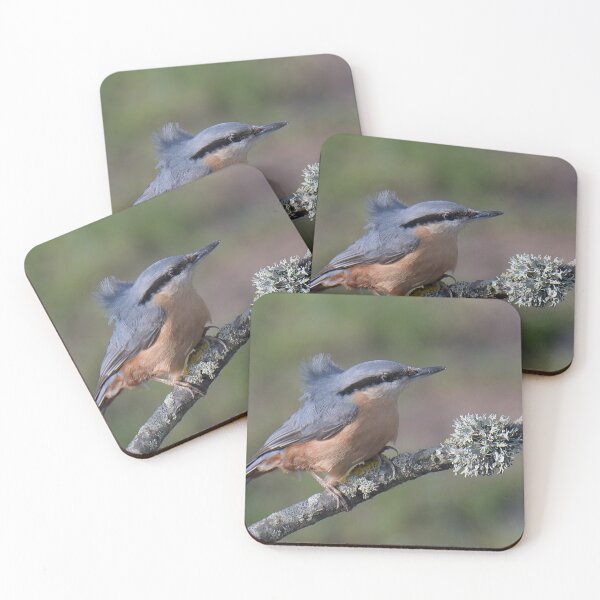 Item preview, Great Tit designed and sold by Holmewood.