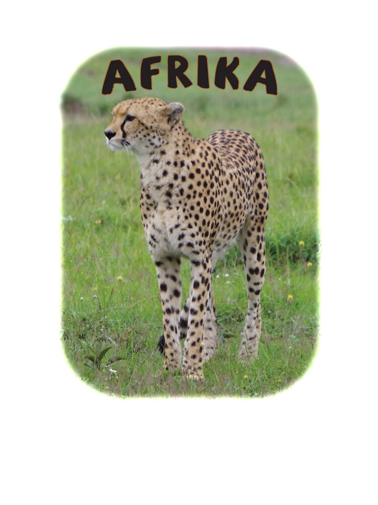 Africa cheetah, the fastest land animal