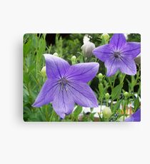 Purple Flowers Canvas Print
