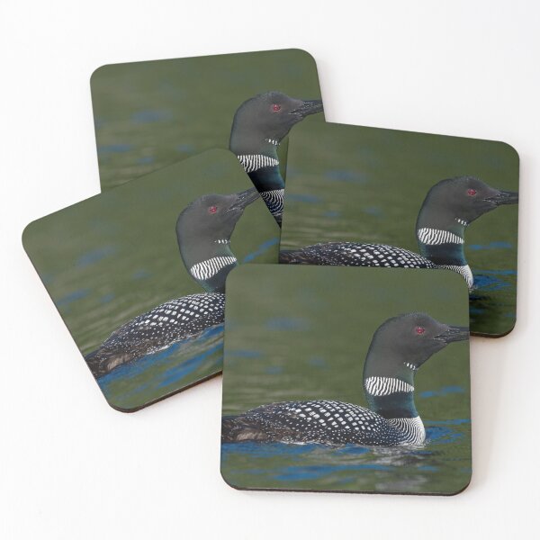 Artikelvorschau, Common Loon fangen Licht entworfen und verkauft von Simpsonwildlife.