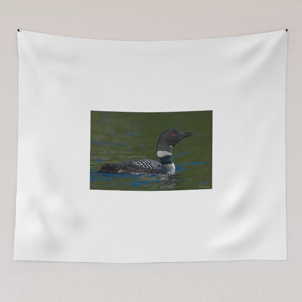 Item preview, Common Loon catch light designed and sold by Simpsonwildlife.
