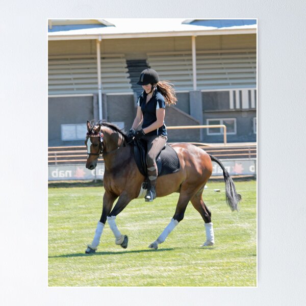 Item preview, Warming up -  Royal Hobart Show Tasmania designed and sold by PaulWJewell.