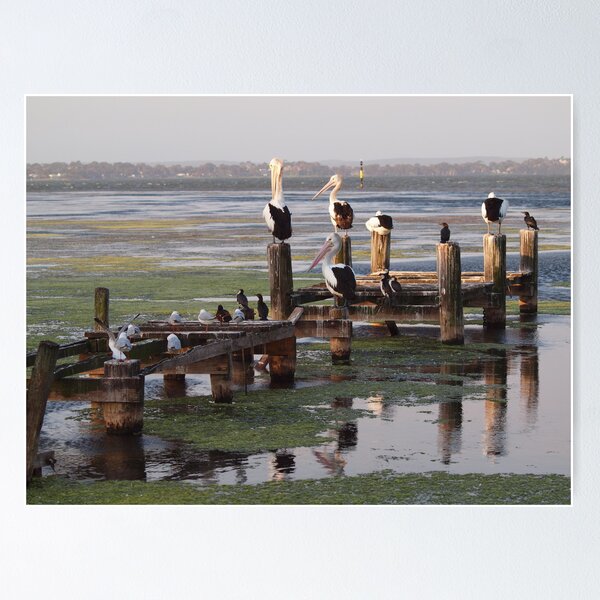 Item preview, Late afternoon at Toukley. designed and sold by shortshooter-Al.