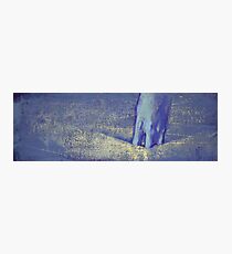 Dive Photographic Print