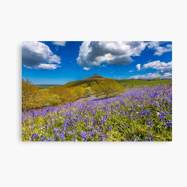 Roseberry Topping Bluebells Canvas Print