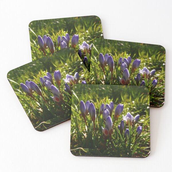 Item preview, Crocus  designed and sold by IOMWildFlowers.