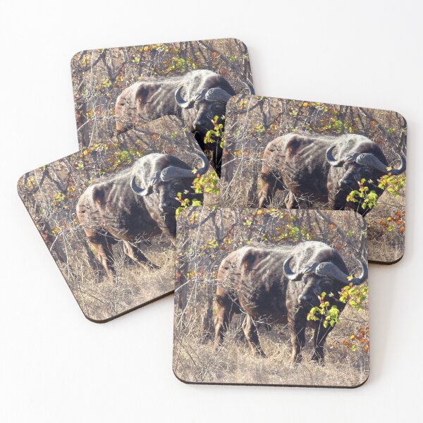 Item preview, African Buffalo Kruger national park, South Africa designed and sold by worldways.