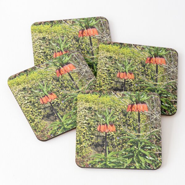 Item preview, Imperial Fritillary designed and sold by pinkal.
