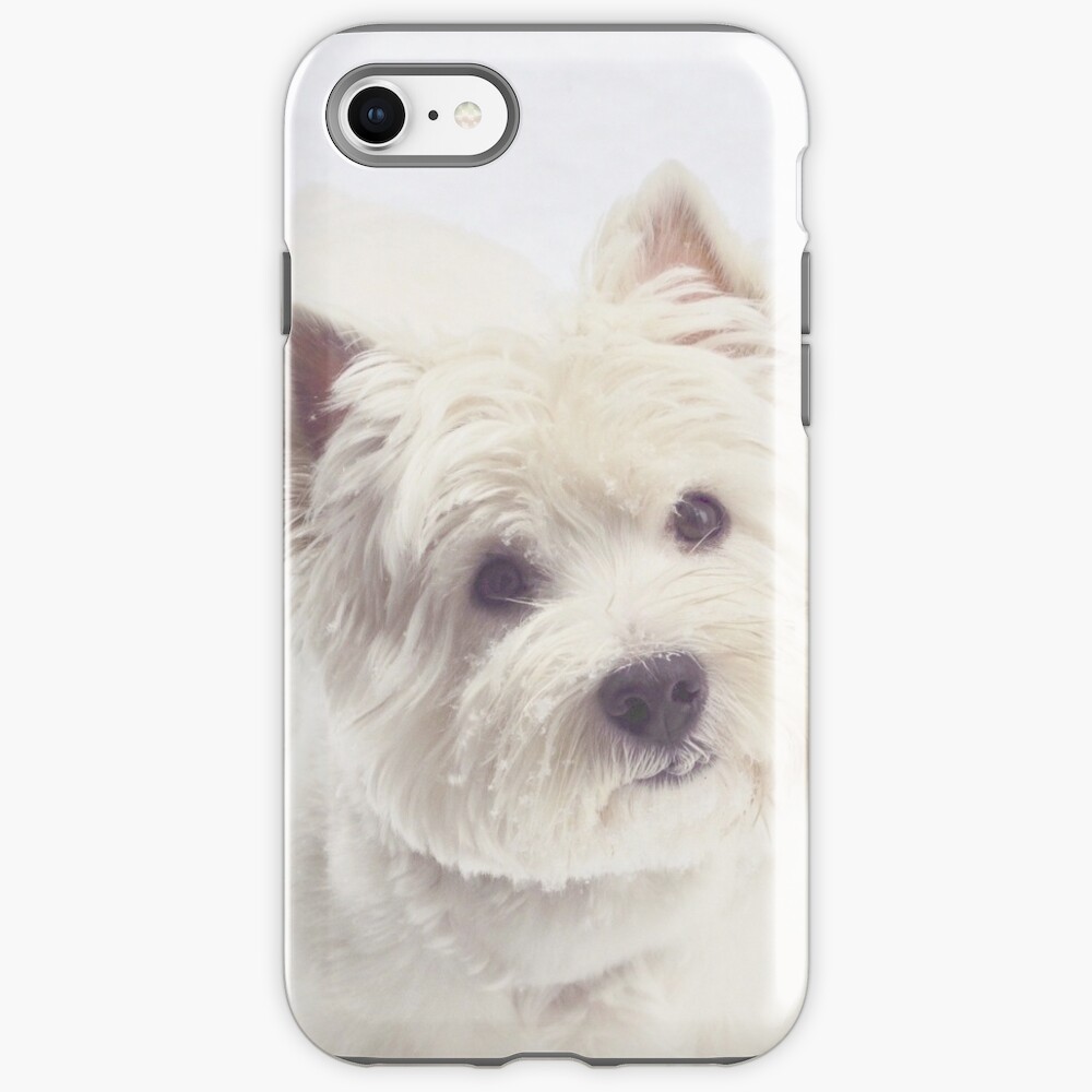 Westie gaze iPhone Case & Cover
