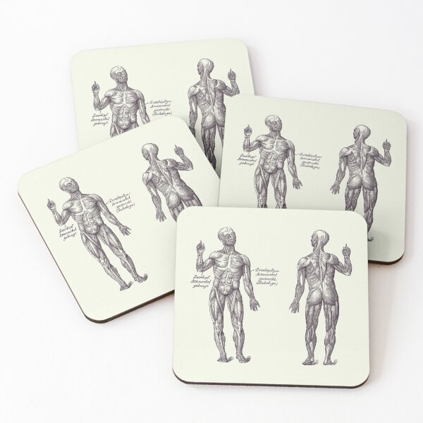 Item preview, Arm Muscular System - Dual View - German Diagram - Vintage Anatomy 2 designed and sold by VAposters.