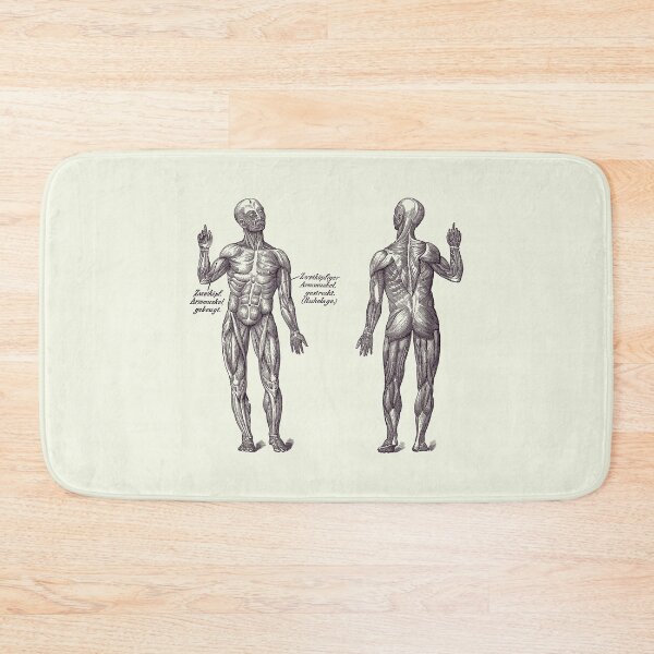 Item preview, Arm Muscular System - Dual View - German Diagram - Vintage Anatomy 2 designed and sold by VAposters.