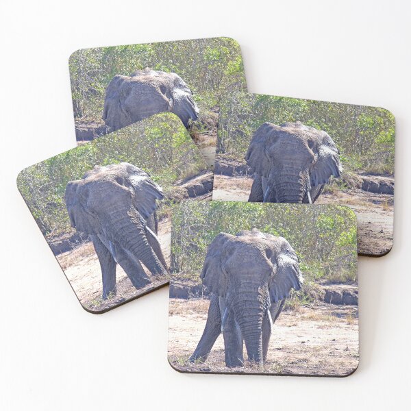 Item preview, African Elephant in the Wild, South Africa designed and sold by worldways.