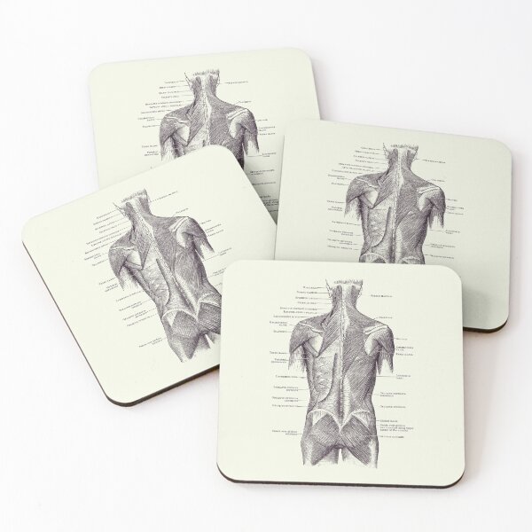 Item preview, Back and Glutes - Human Muscular System 2 designed and sold by VAposters.