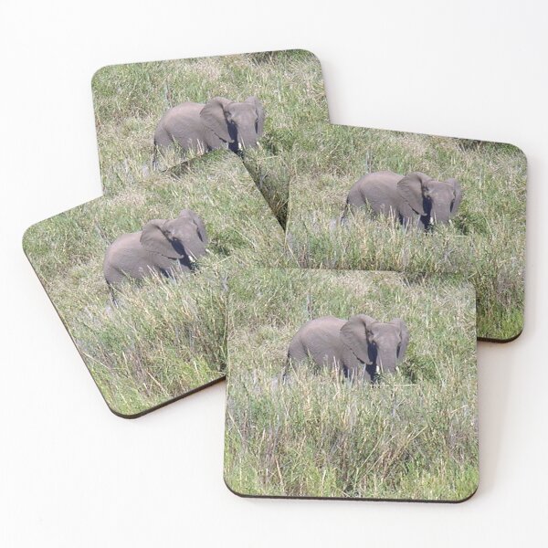 Item preview, African Elephant in the Wild Kruger national park, South Africa designed and sold by worldways.