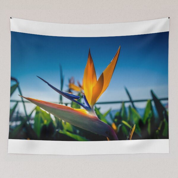 Item preview, Bird of Paradise Flower 2 designed and sold by Robert Alsop.