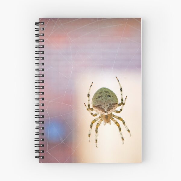 Item preview, Catface Spider  designed and sold by JRRouse.