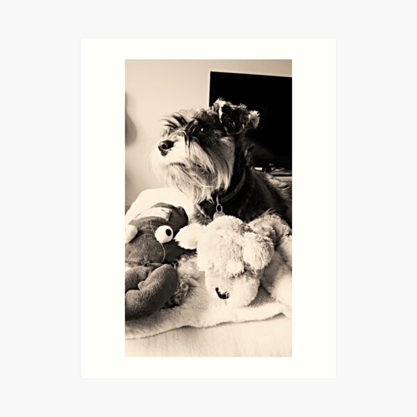 Fuggle Art Print