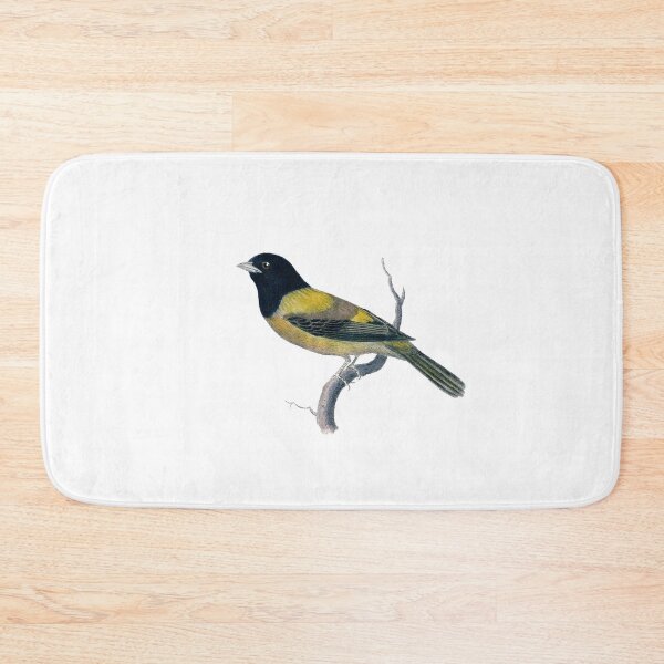 Item preview, Antique Black-Headed Chatter Bird Illustration designed and sold by FuzzyHoney.