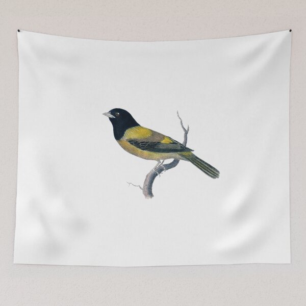 Item preview, Antique Black-Headed Chatter Bird Illustration designed and sold by FuzzyHoney.