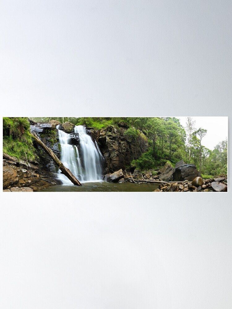 Thumbnail 1 of 3, Poster, Stevenson's Falls, Otways National Park, Australia designed and sold by Chockstone.