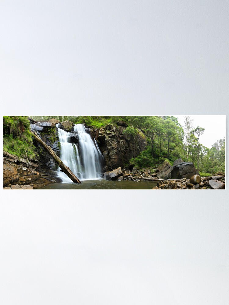 Thumbnail 1 of 3, Poster, Stevenson's Falls, Otways National Park, Australia designed and sold by Chockstone.