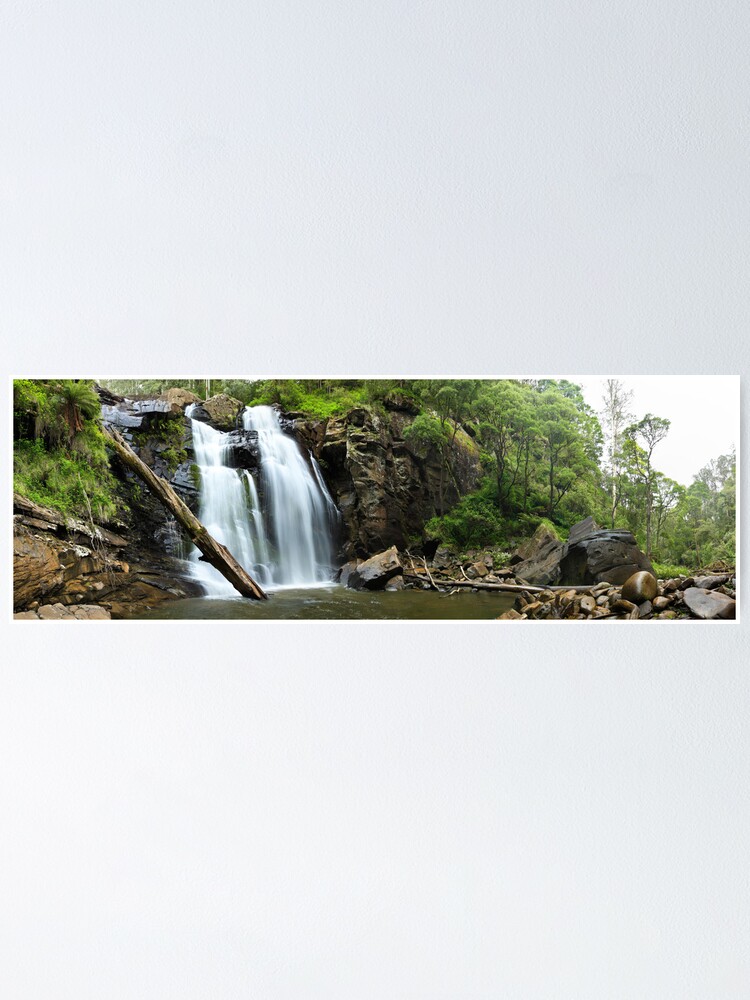 Thumbnail 1 of 3, Poster, Stevenson's Falls, Otways National Park, Australia designed and sold by Chockstone.