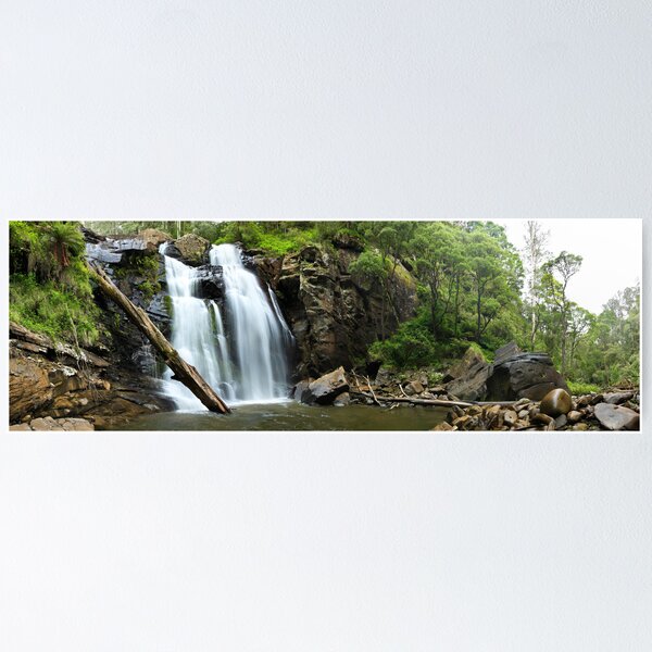 Item preview, Stevenson's Falls, Otways National Park, Australia designed and sold by Michael Boniwell.