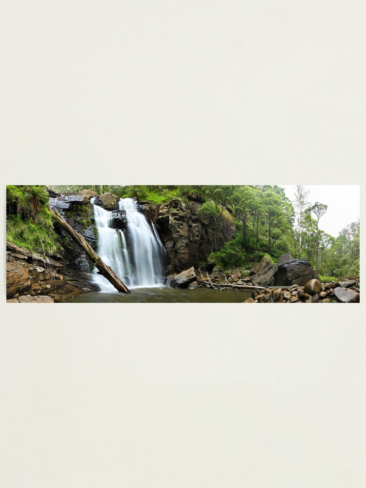 Thumbnail 1 of 3, Photographic Print, Stevenson's Falls, Otways National Park, Australia designed and sold by Chockstone.