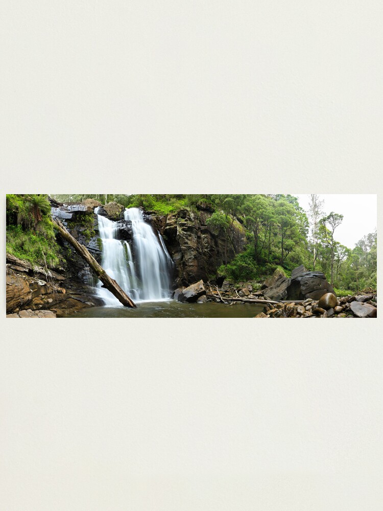 Thumbnail 1 of 3, Photographic Print, Stevenson's Falls, Otways National Park, Australia designed and sold by Chockstone.