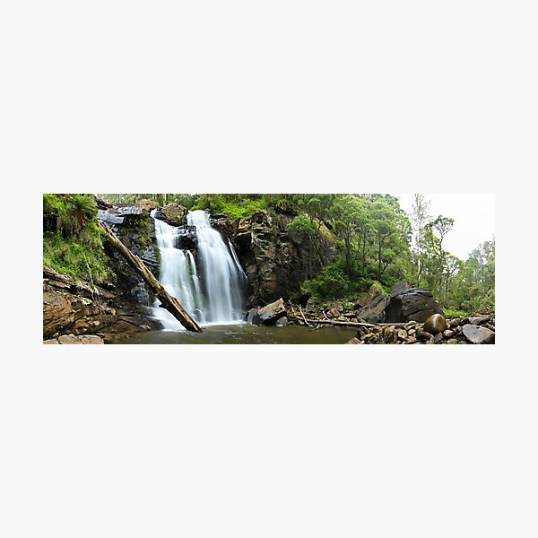 Stevenson's Falls, Otways National Park, Australia Photographic Print