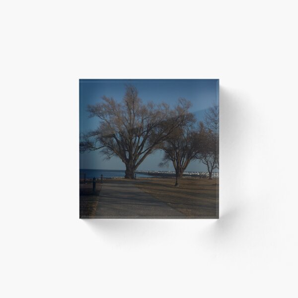 Item preview, Trees designed and sold by atlaswolfe.