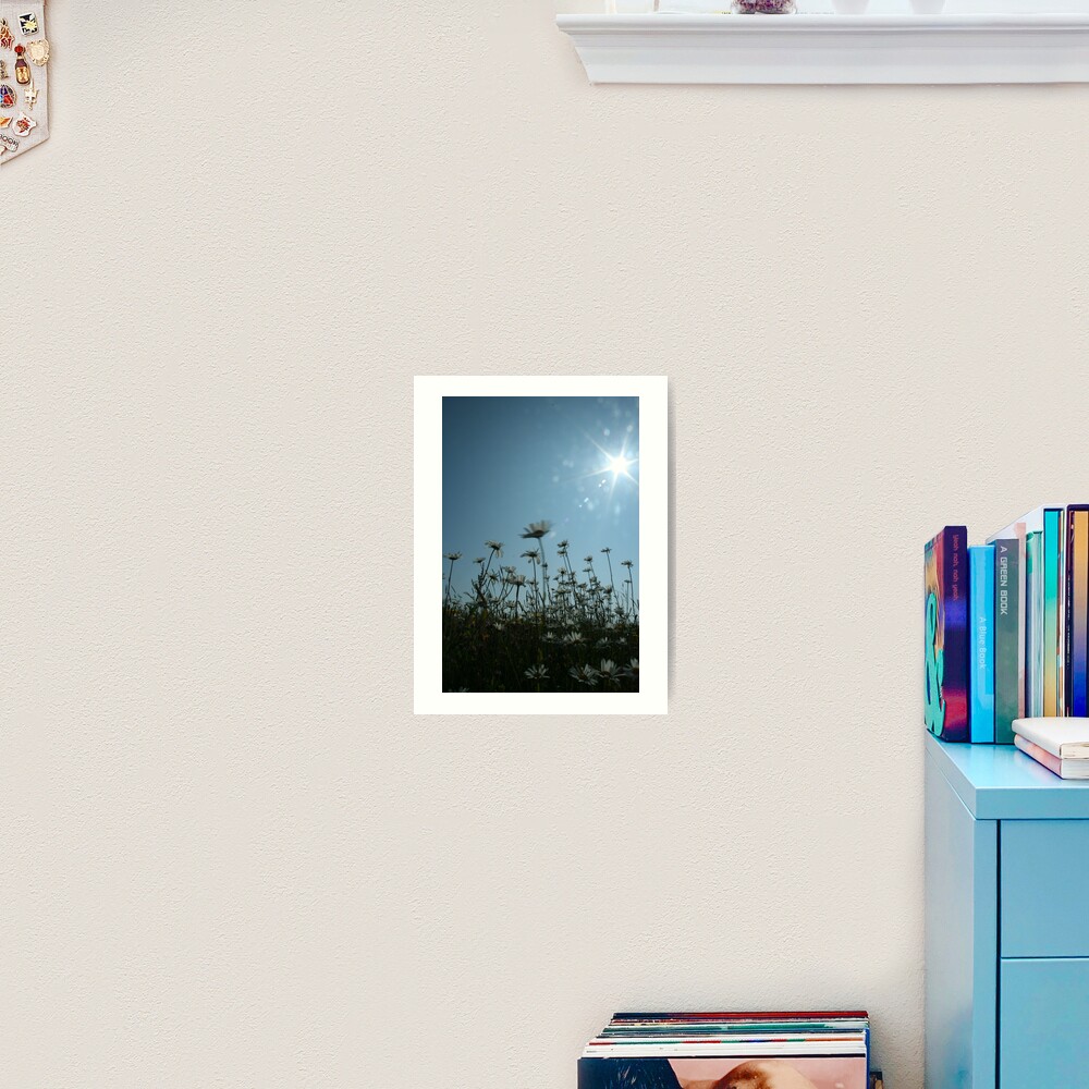 Daisies Art Print