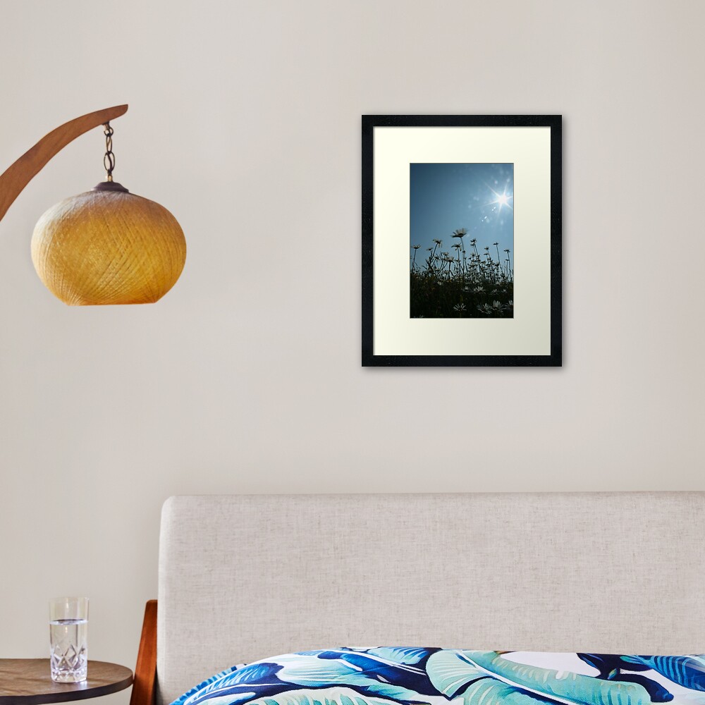 Daisies Framed Art Print