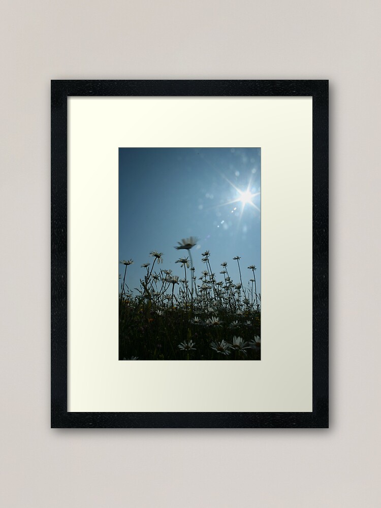 Alternate view of Daisies Framed Art Print
