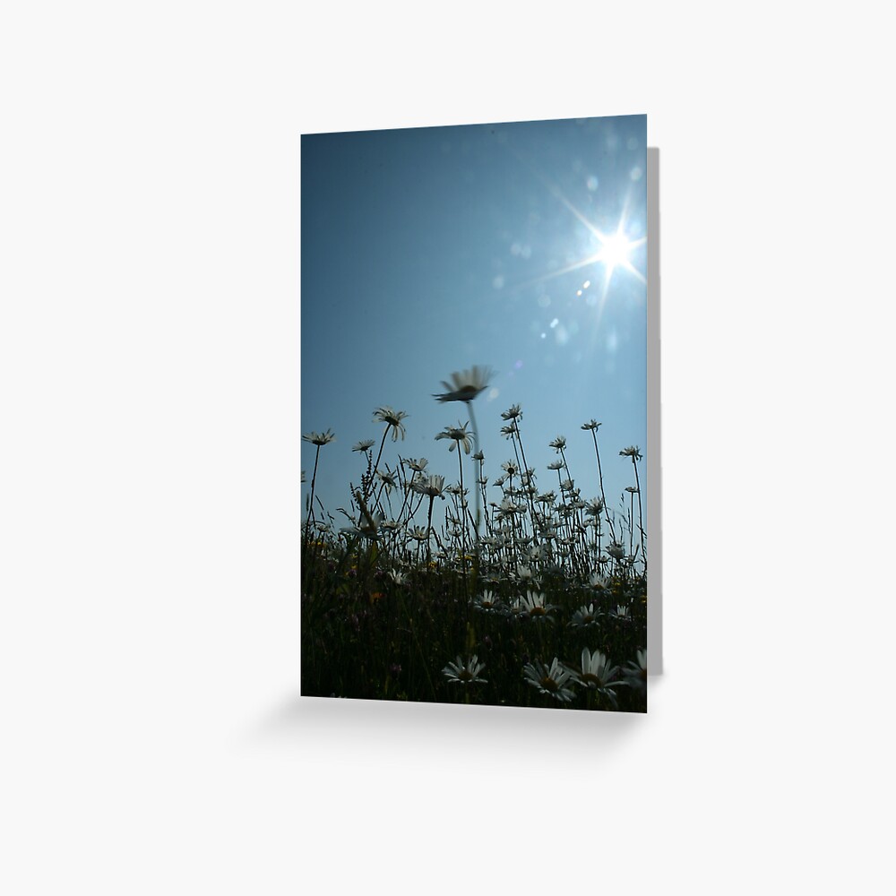 Item preview, Greeting Card designed and sold by orcadia.