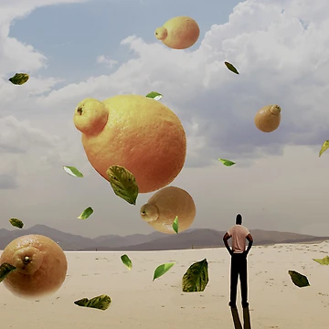 Artwork thumbnail, LEMONADE by Paul Quixote Alleyne