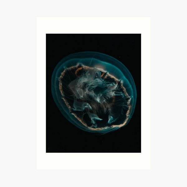 Pink and Blue Silk Art Print