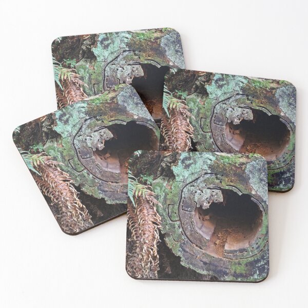 Item preview, Deception Pass Hollow Log designed and sold by VikingVisual.