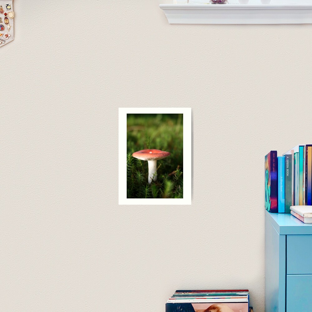 Toadstool Art Print
