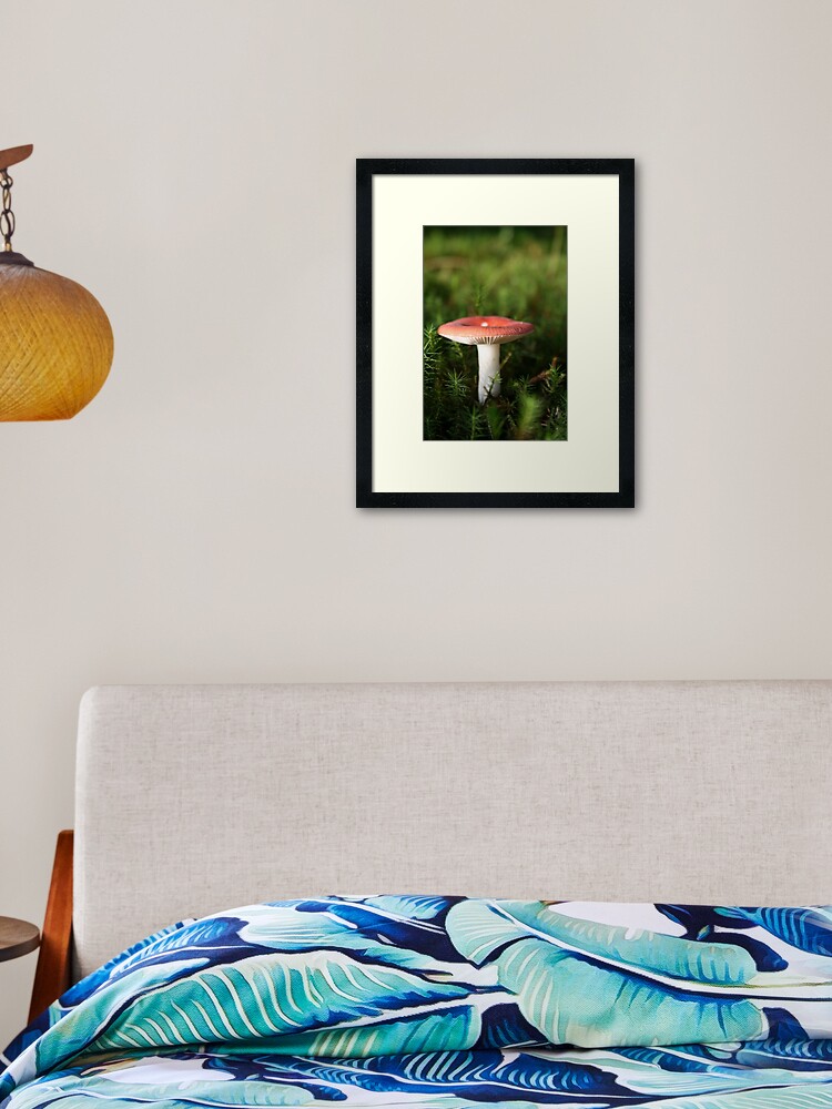 Thumbnail 2 of 7, Framed Art Print, Toadstool designed and sold by orcadia.