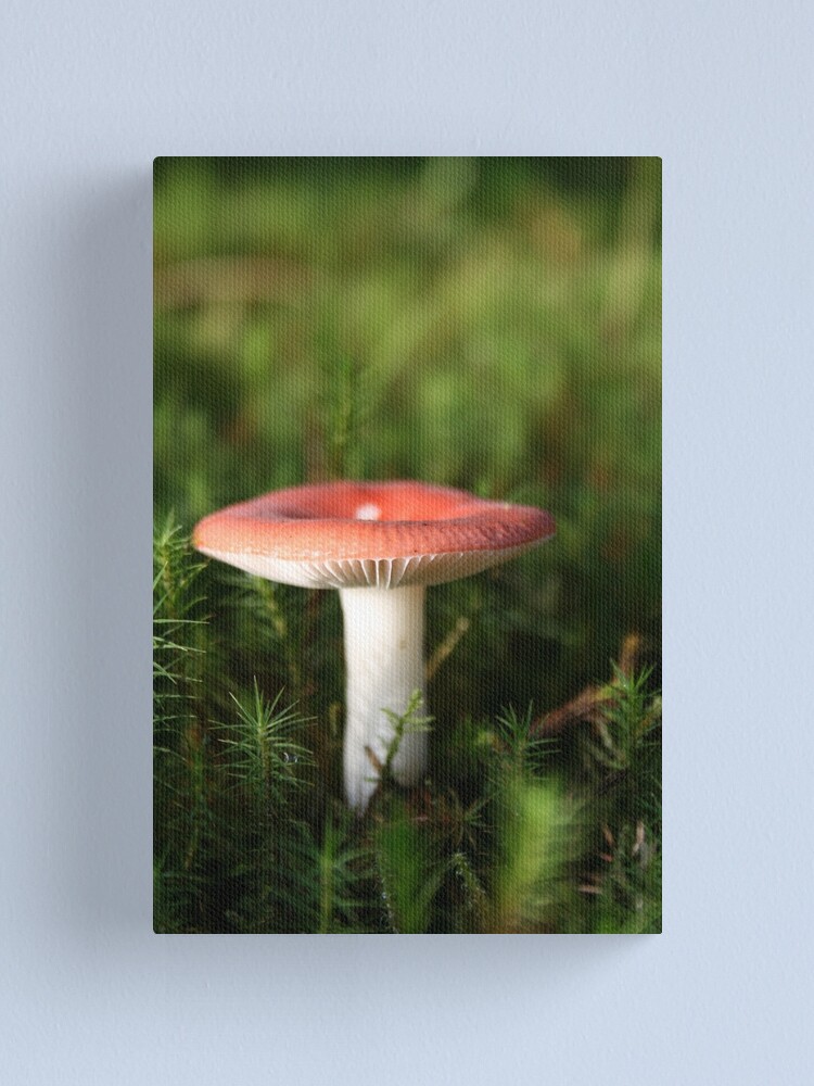 Alternate view of Toadstool Canvas Print