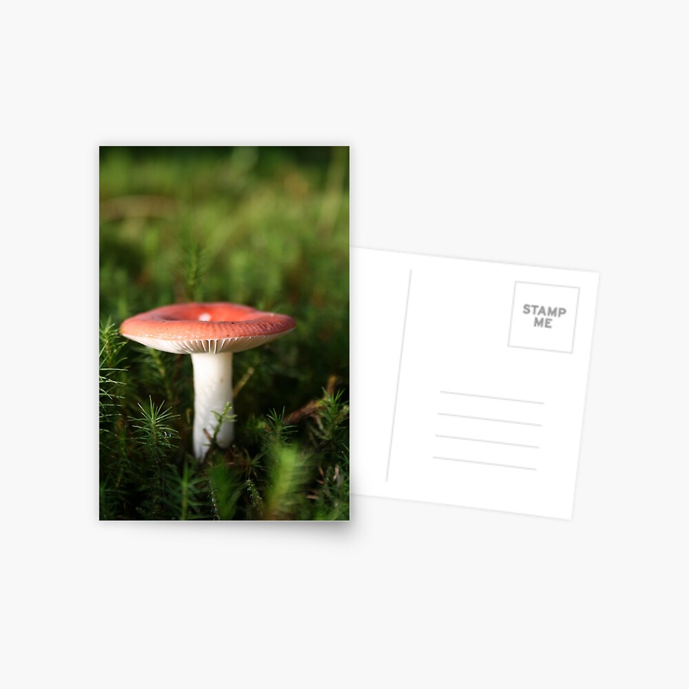 Item preview, Postcard designed and sold by orcadia.