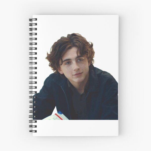 Item preview, Timothee chalamet sticker designed and sold by lydcoleson.