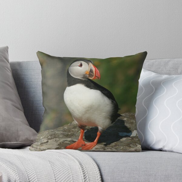 Watchful puffin Throw Pillow