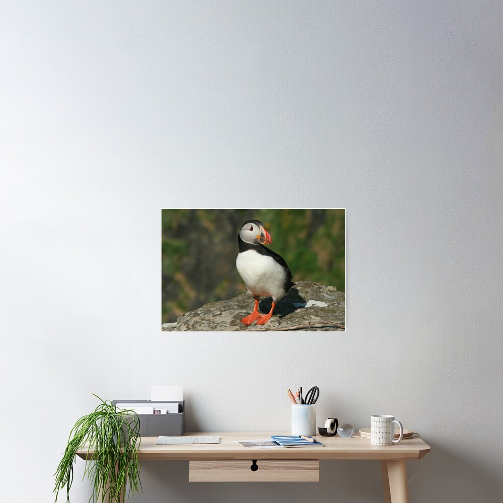 Item preview, Poster designed and sold by orcadia.