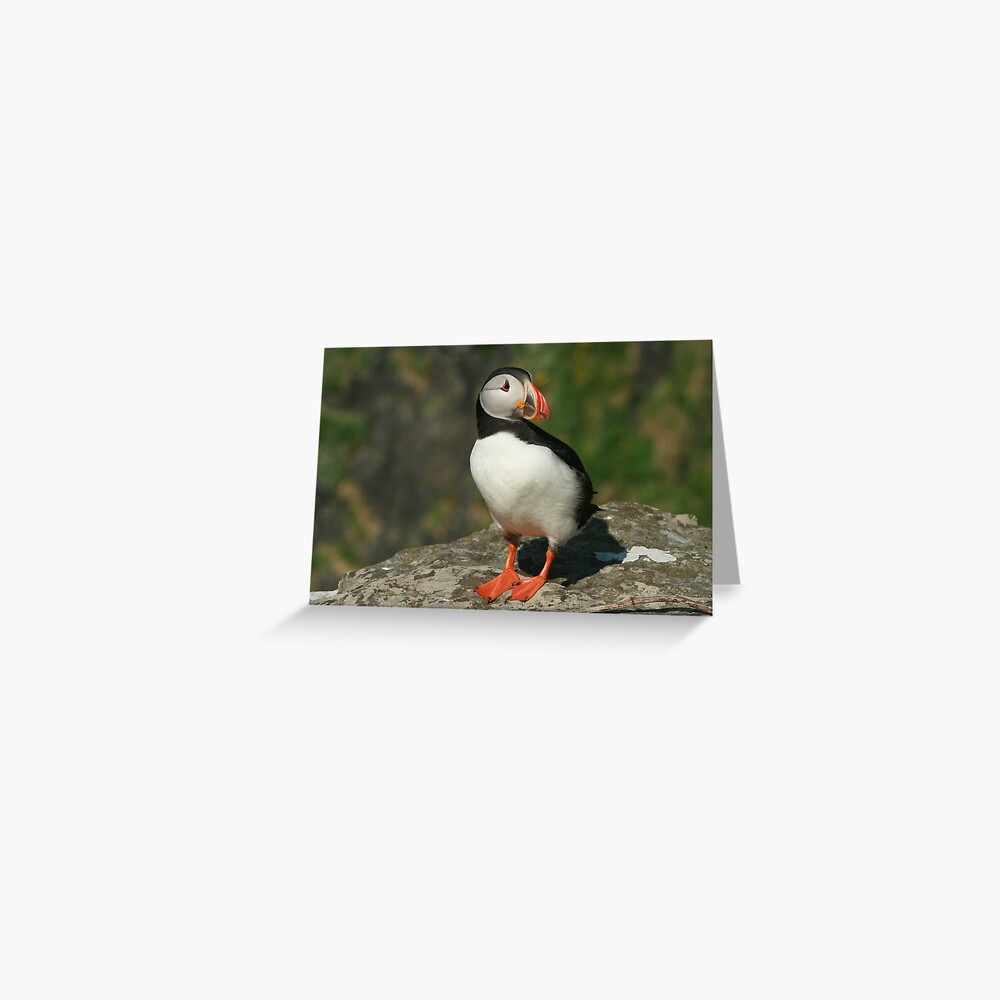 Item preview, Greeting Card designed and sold by orcadia.
