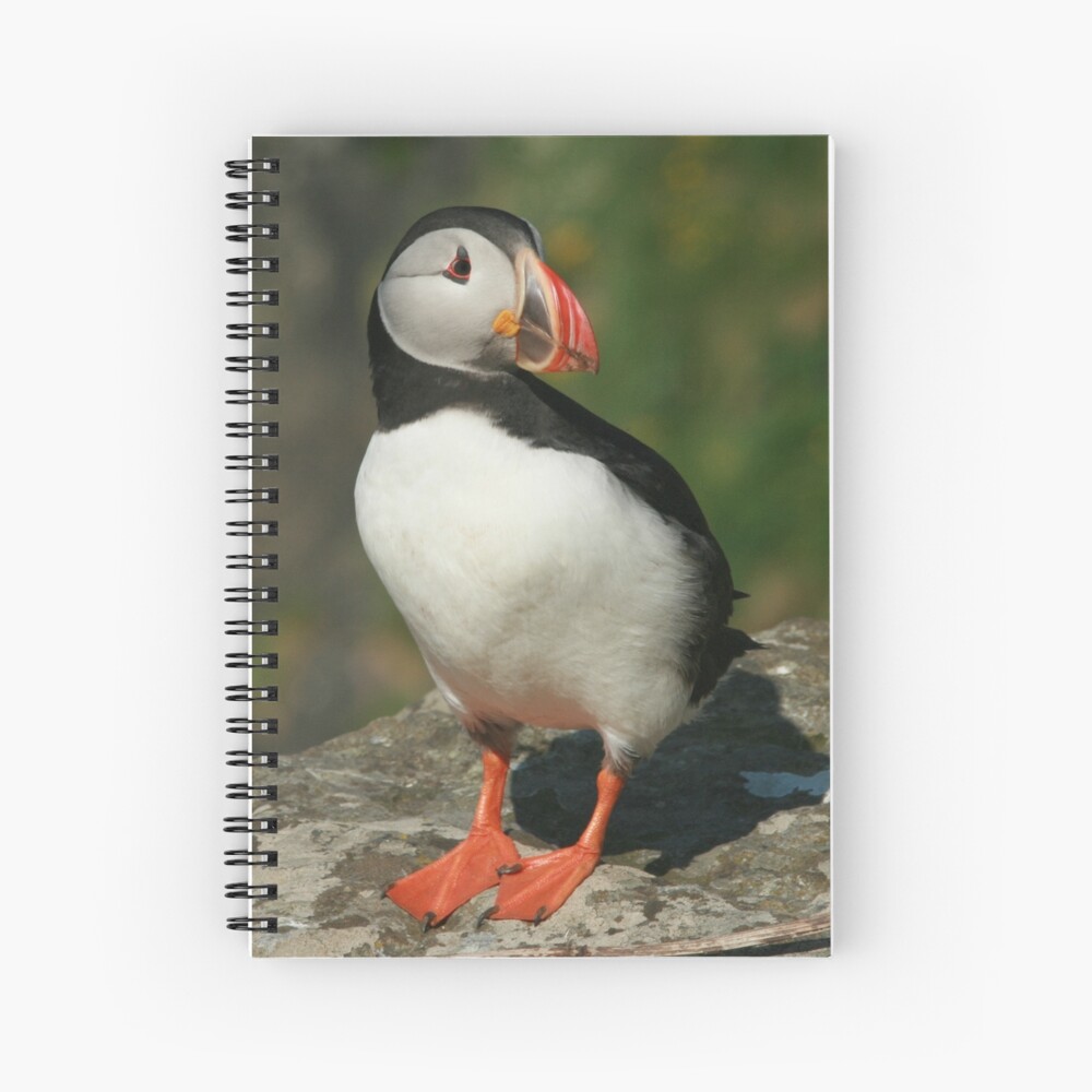 Item preview, Spiral Notebook designed and sold by orcadia.